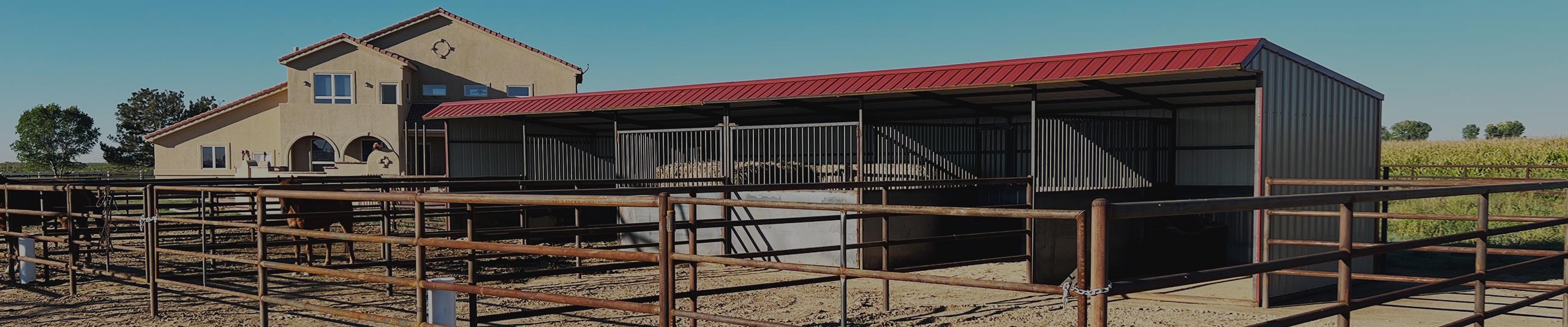 Metal sided portable horse loafing shed with steel pipe fence runs off the front