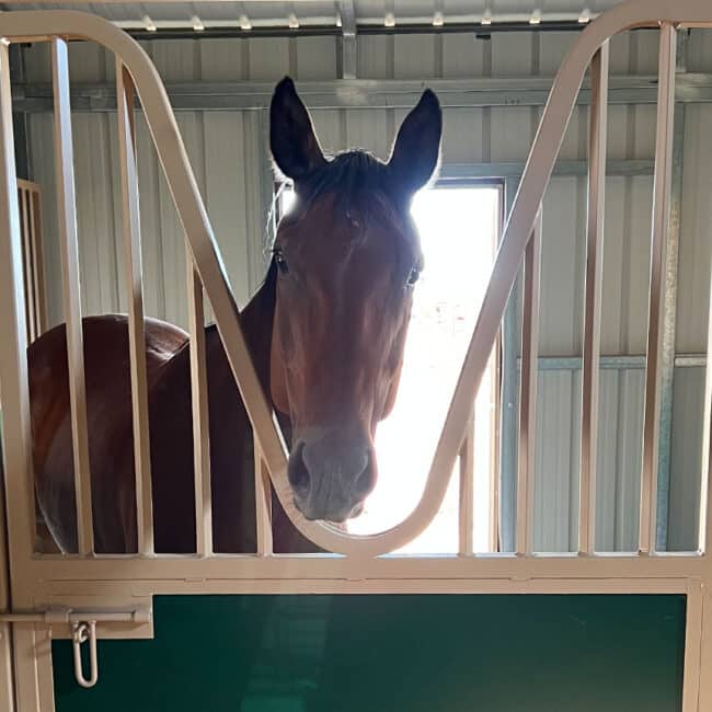 Barn Stall for Horses