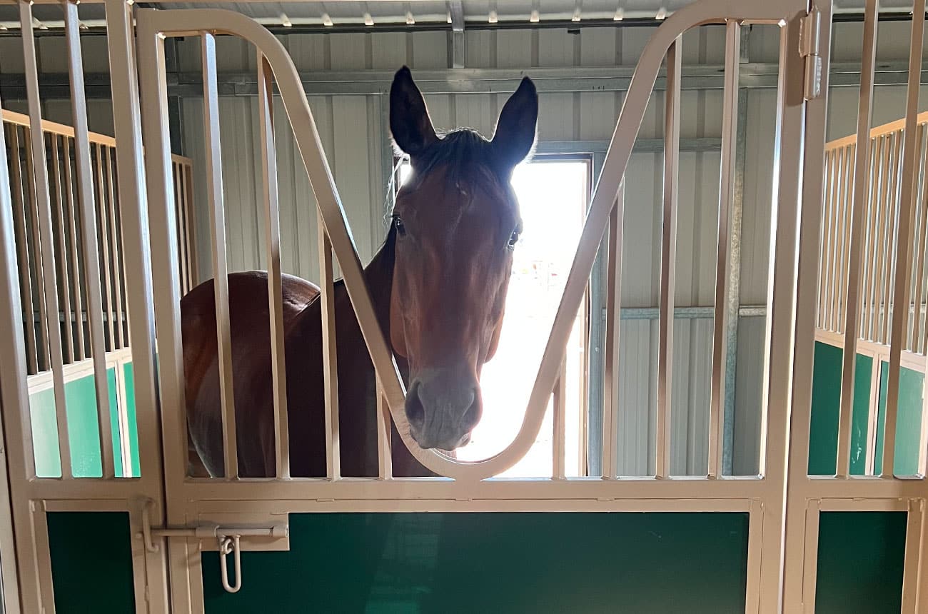 Barn Stall for Horses